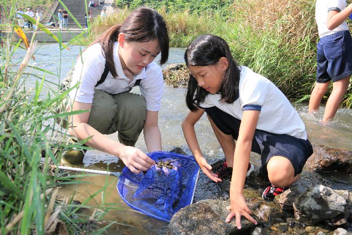 水辺で生きもの採集をする子ども達