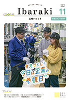 11月号表紙