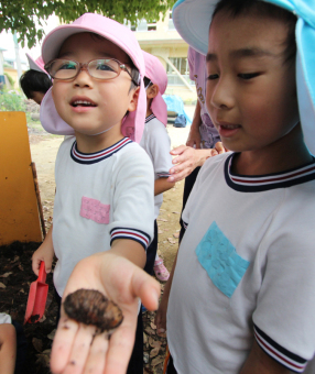 カブトムシの幼虫を見せる園児