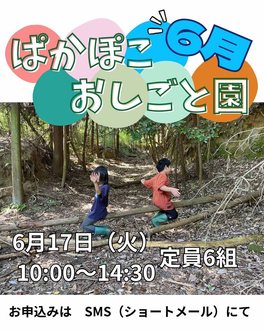 20250617chirashi