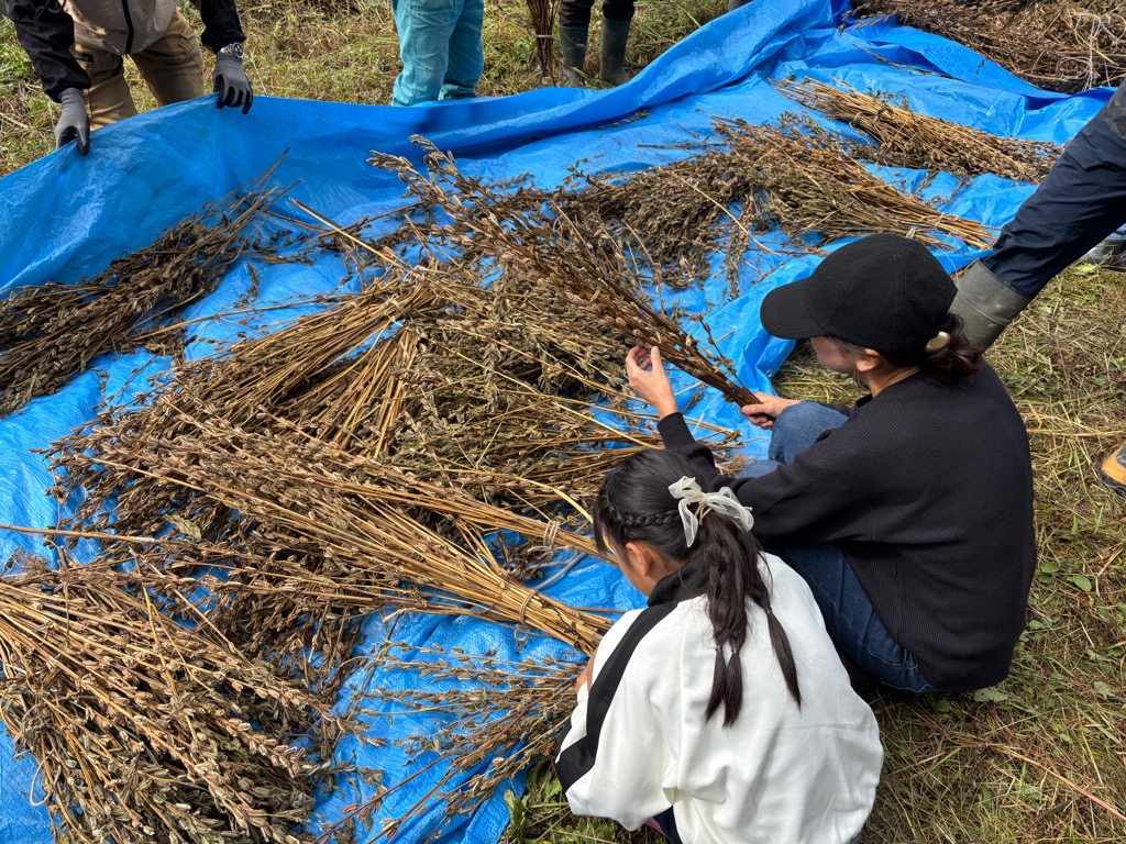 イベントの様子