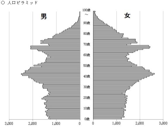 人口ピラミッド