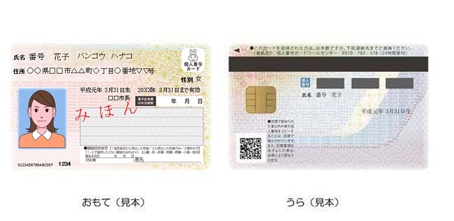 個人番号カードの見本