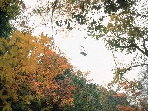 小豆島町景色の画像