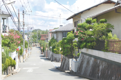 桜ケ丘のまちなみ