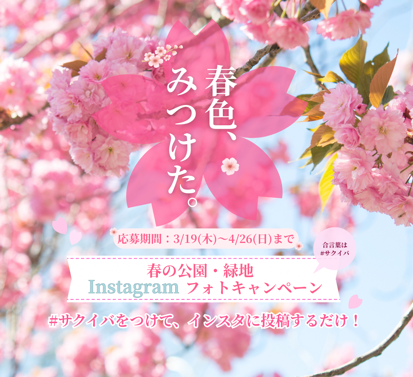 Instagramフォトキャンペーン