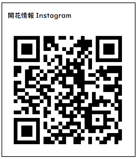 開花情報QRコード