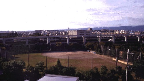 沢良宜公園グラウンドの写真