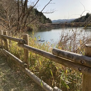 ダム池の見えるデッキ