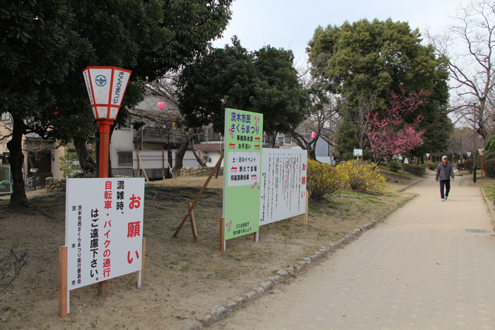 さくらまつりの看板が立てられた会場と、付近を歩く市民の方の写真