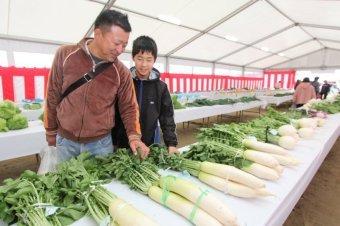 品評会の大根を見る親子