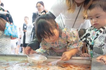 金魚すくい