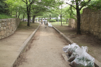 美しくなった元茨木川緑地