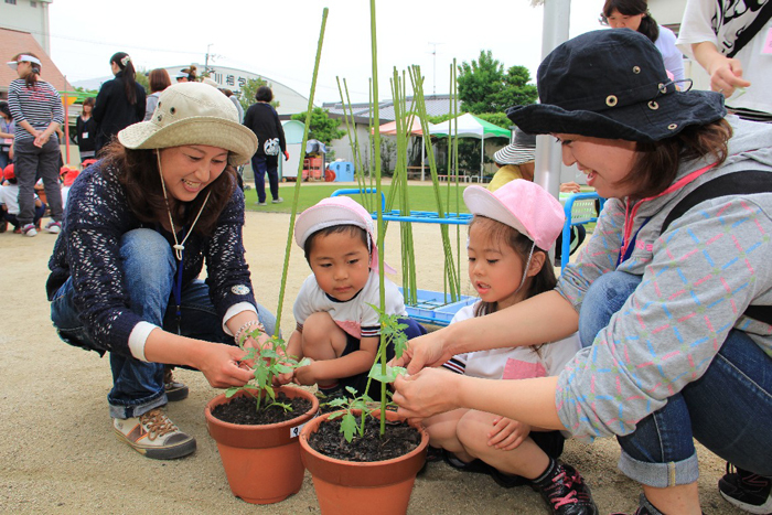 苗植えの様子