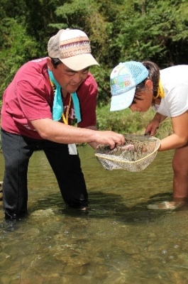 親子で水辺の生き物を探す様子