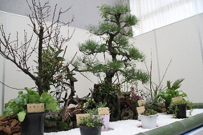 七草をあしらった箱庭の展示の写真