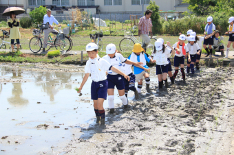 田んぼに入る児童らを撮影した画像