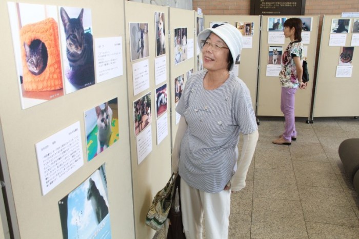 動物の写真展示をみる市民