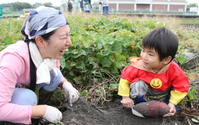 参加者が芋ほりをしている様子の画像