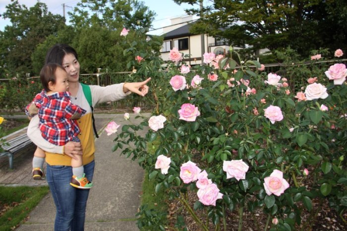 園内でバラを見る市民の画像