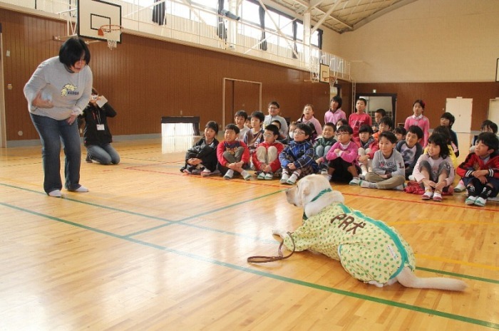 盲導犬を紹介している様子