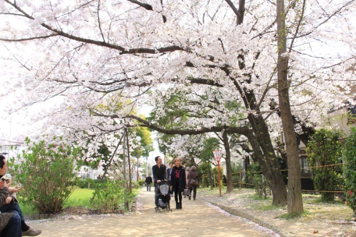 会場の様子の画像