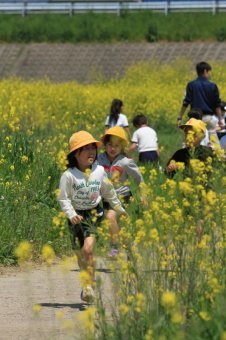 (写真)菜の花畑の子どもたち