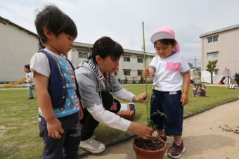 自分の鉢に真剣に支柱をたてる親子の写真