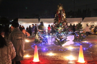 クリスマス市でライトアップされたツリーの写真