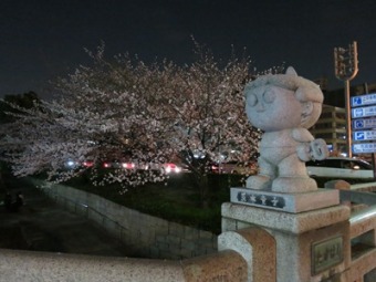 美しい夜桜を後ろにして立つ茨木童子の像の写真