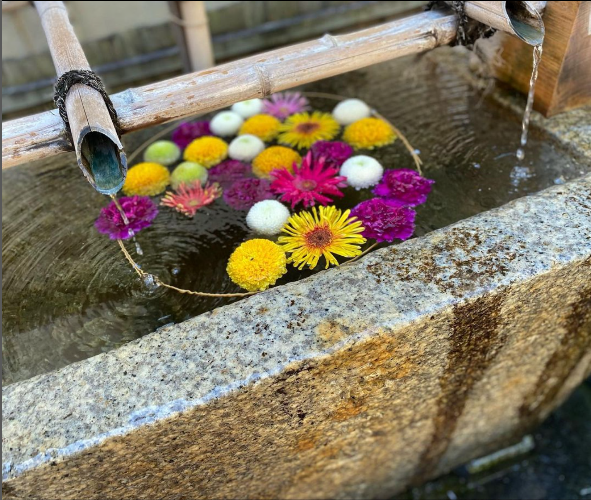 茨木神社の花手水
