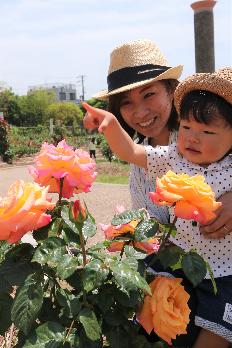 若園公園の様子