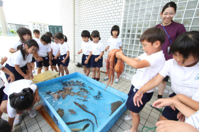児童が魚をつかんでいる様子の画像