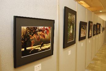 市写真展