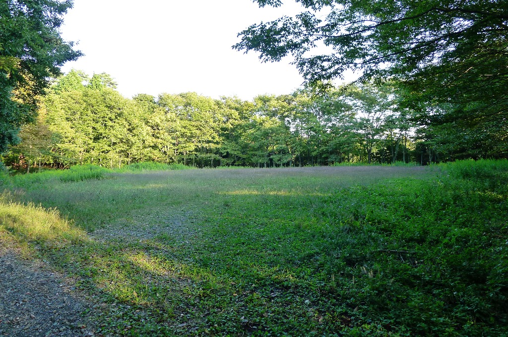 野遊び広場