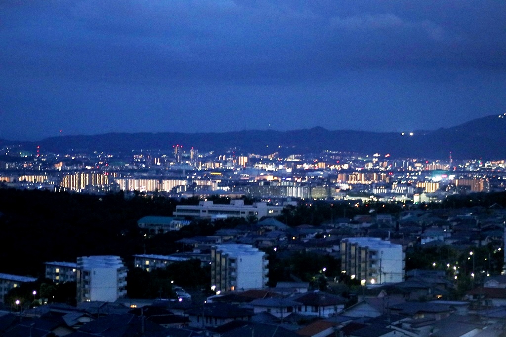 山手台中央公園夜景