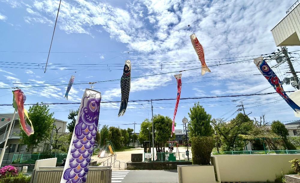 沢良宜いのち・愛・ゆめセンターの鯉のぼり