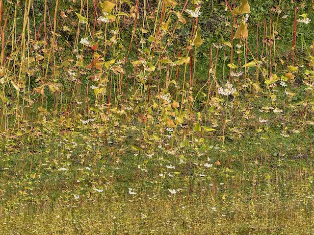 イベントの様子