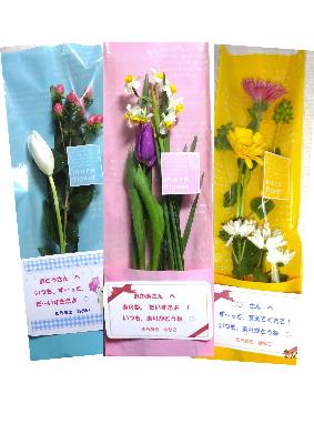 （イメージ）【3月2日午前9時受付開始】フラワーギフト~かわいいお花のプレゼント~