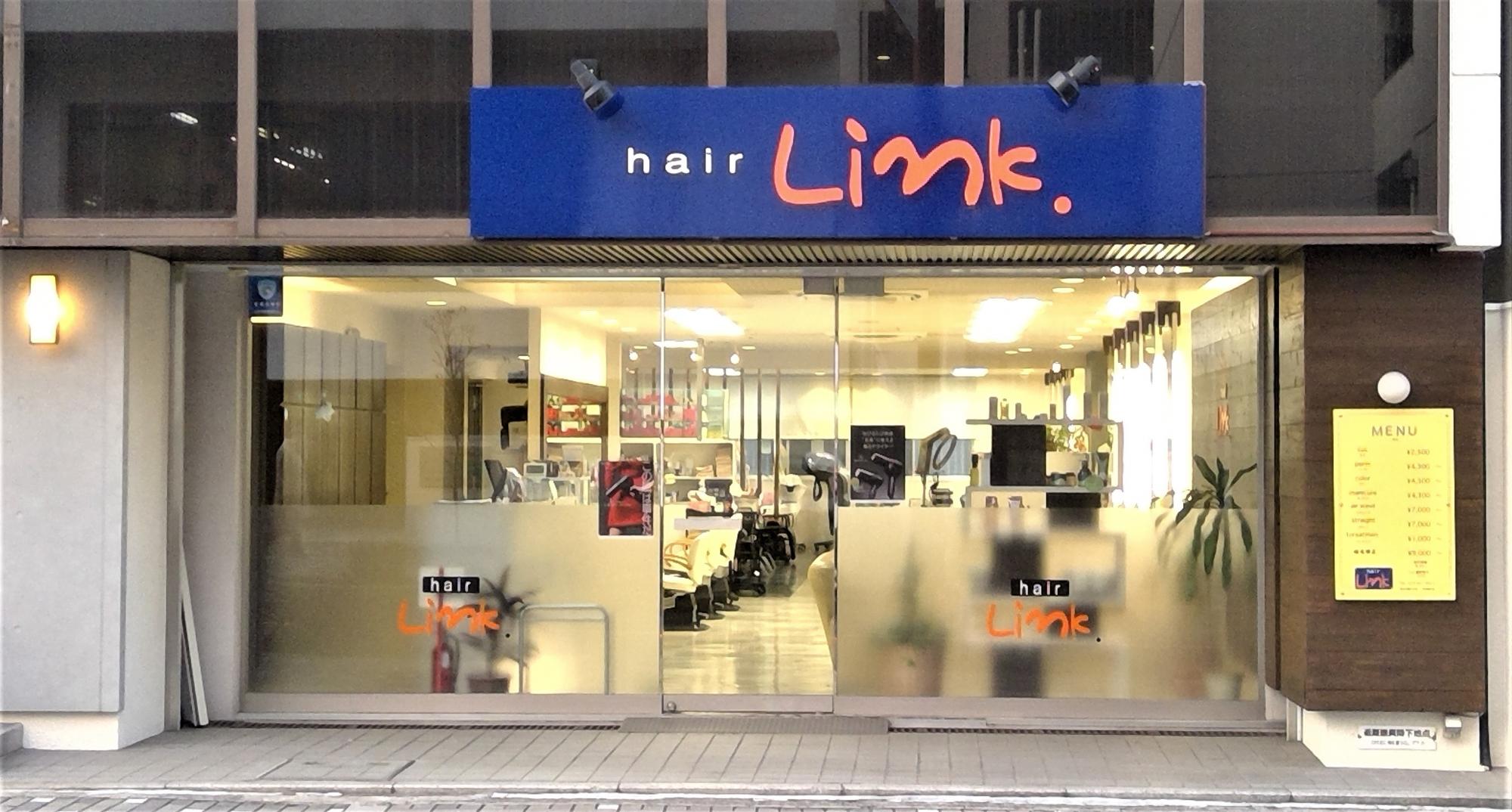 hair Link
