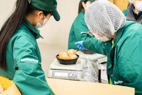 オープンカンパニー当日の様子（みくりや青果）１