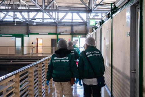 オープンカンパニー当日の様子（みくりや青果）２