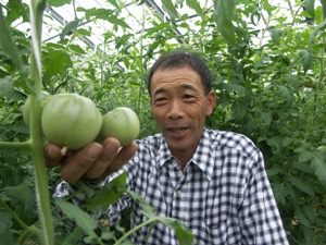 栽培中のトマトを眺める山口正勝さんの写真