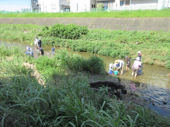 大正川での講座の様子