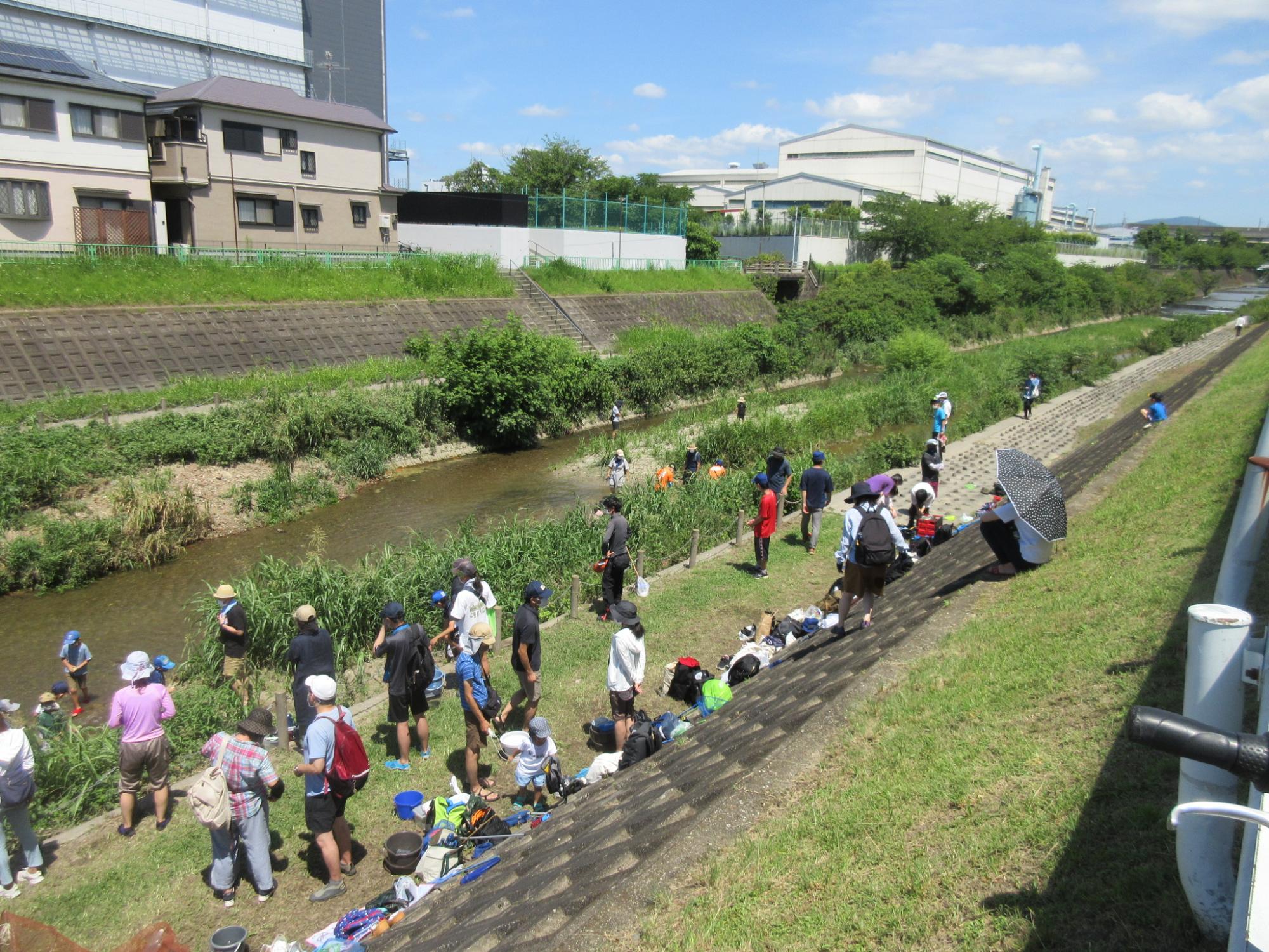 （イメージ）自然楽習会in大正川