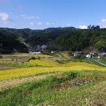 棚田の写真