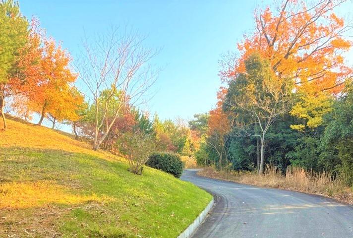 彩都あかね公園