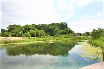 あさぎ里山公園の画像