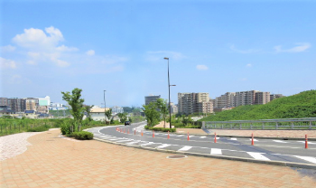 あさぎ大通りの画像