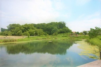 あさぎ里山公園風景